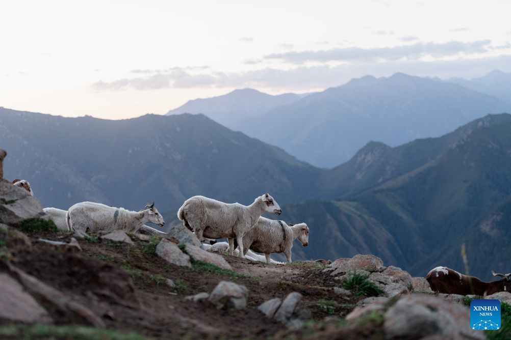 Scenery of Qilian Mountains in Gansu, NW China