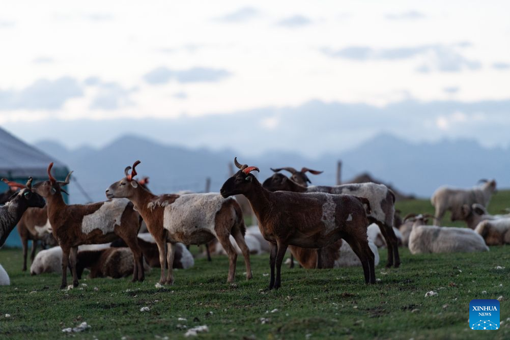 Scenery of Qilian Mountains in Gansu, NW China