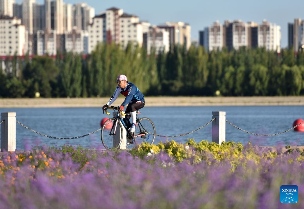 People spend leisure time at lavender field in Tongliao, China's Inner Mongolia