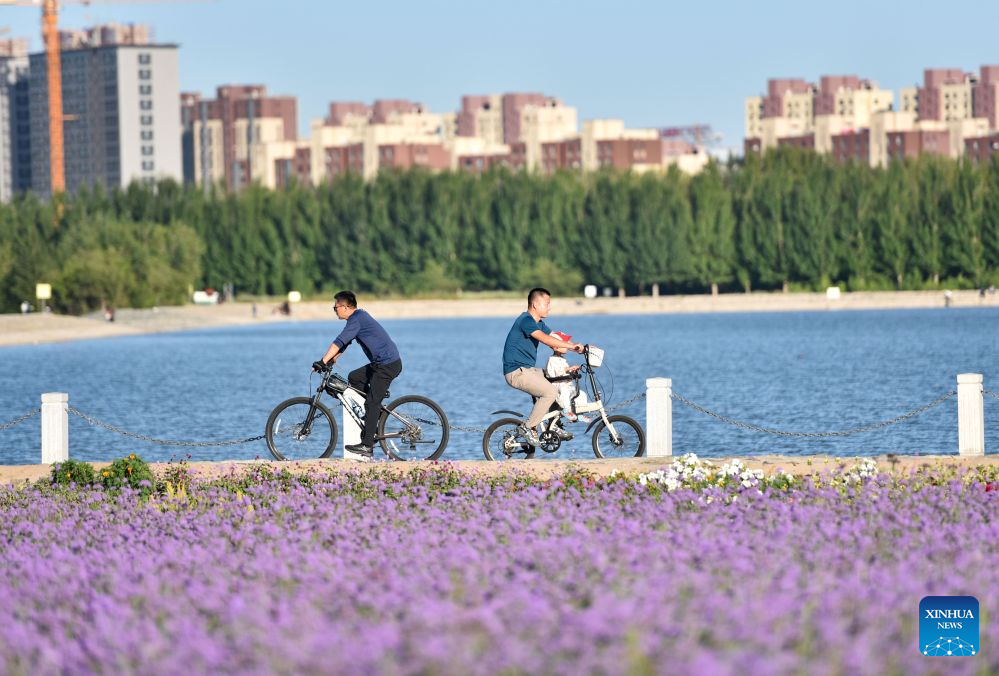 People spend leisure time at lavender field in Tongliao, China's Inner Mongolia