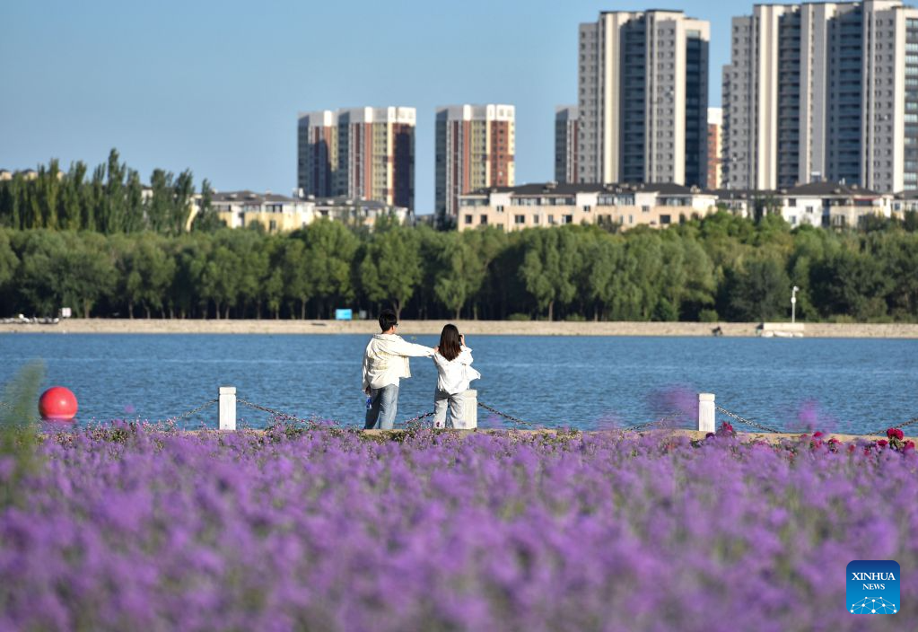 People spend leisure time at lavender field in Tongliao, China's Inner Mongolia