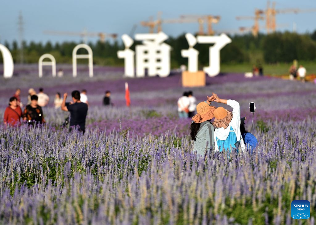 People spend leisure time at lavender field in Tongliao, China's Inner Mongolia
