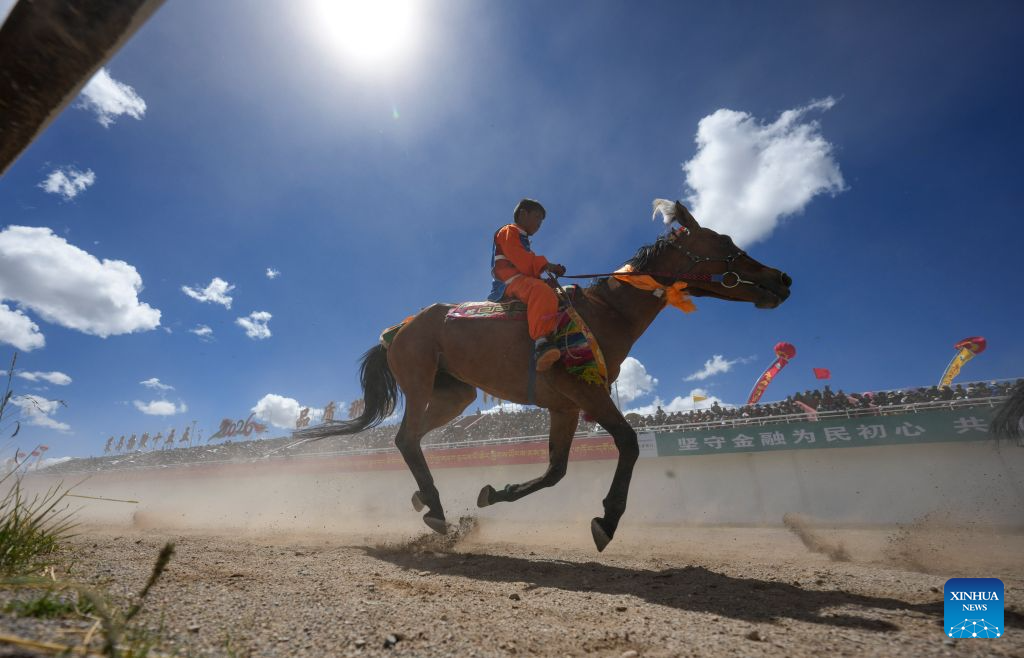 Nagqu Horse Racing Festival 2026 kicks off in China's Xizang