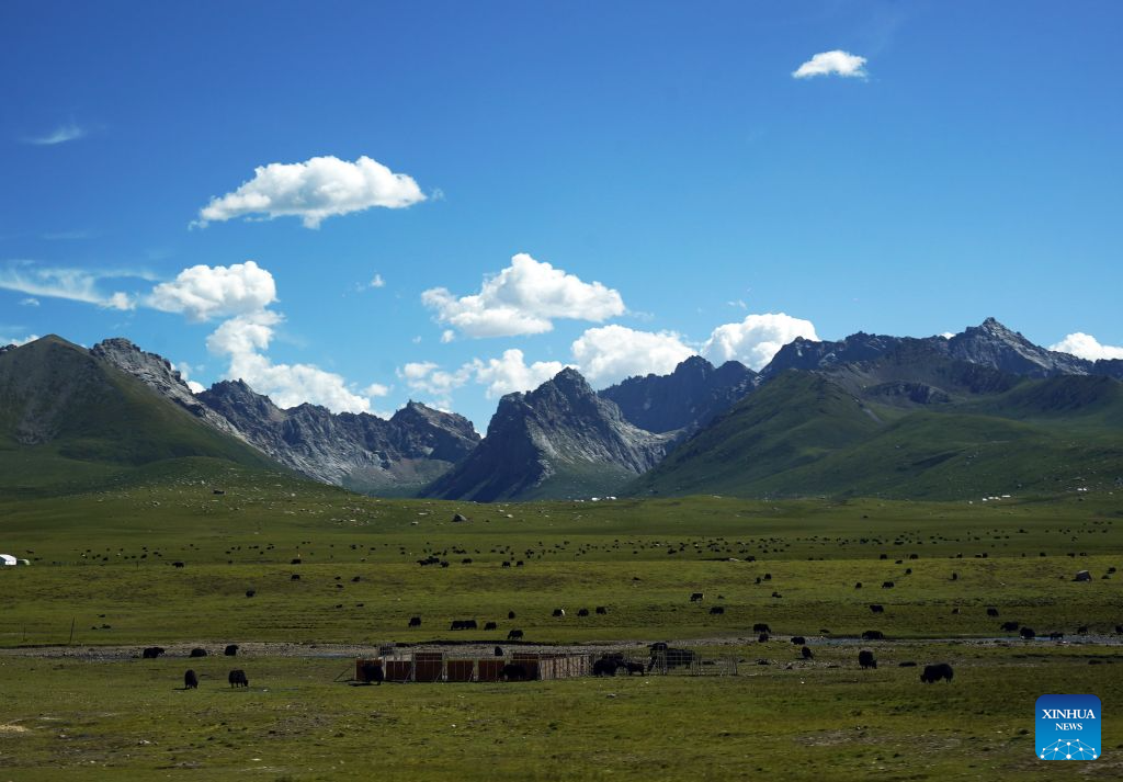 Scenery of Nianbaoyuze national geology park in China's Qinghai