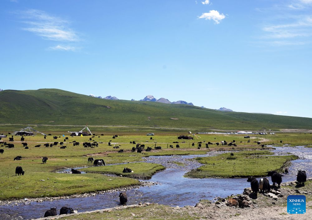 Scenery of Nianbaoyuze national geology park in China's Qinghai