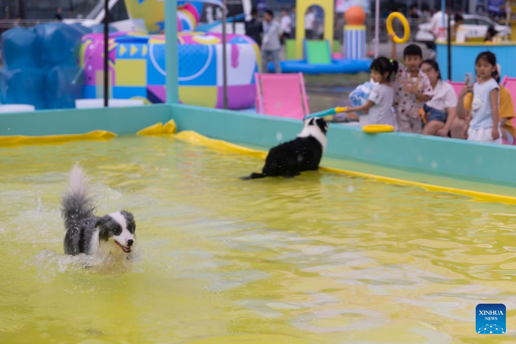 28th Pet Fair Asia held in Shanghai