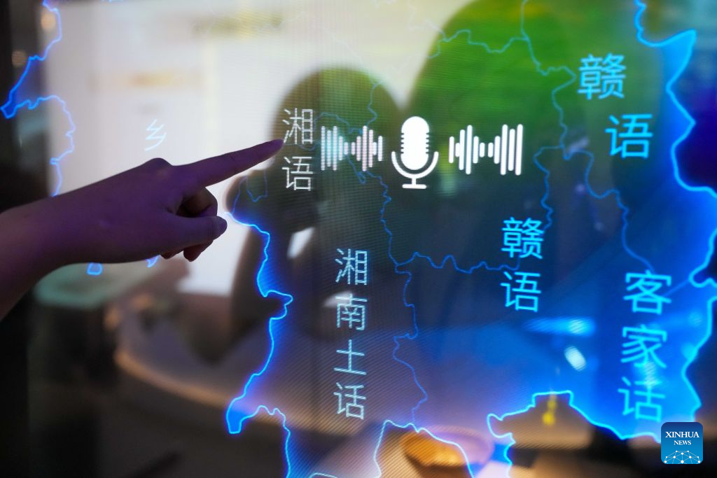 China Focus: China opens exhibition to preserve, bring linguistic diversity to life