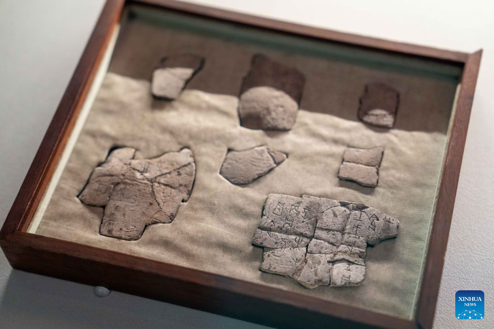 China Focus: China opens exhibition to preserve, bring linguistic diversity to life