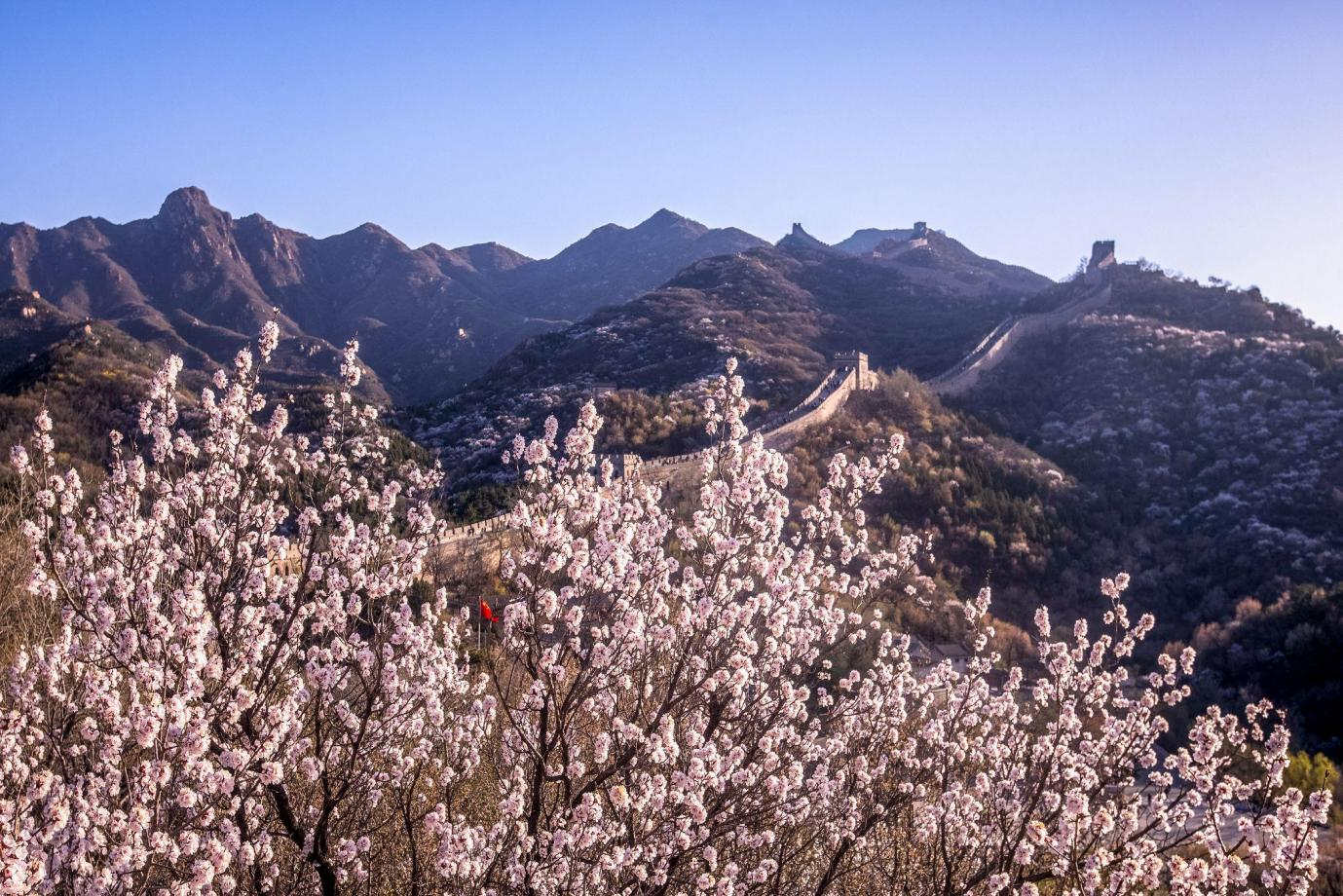 Explore Badaling: The Great Wall through the seasons | Spring & Summer