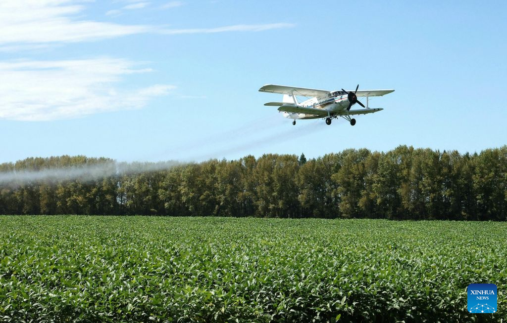 Aircraft, drones help ensure autumn grain harvest in China's Heilongjiang