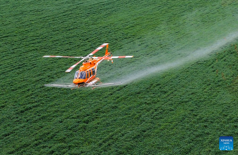 Aircraft, drones help ensure autumn grain harvest in China's Heilongjiang