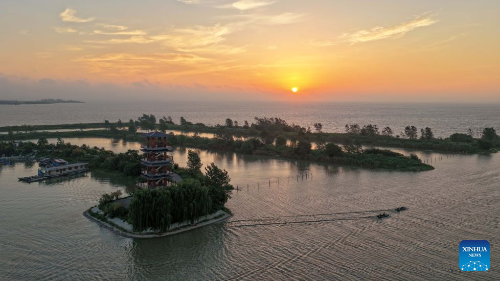 Hongze Lake Wetland in E China's Jiangsu sees surge in bird species thanks to environmental protection