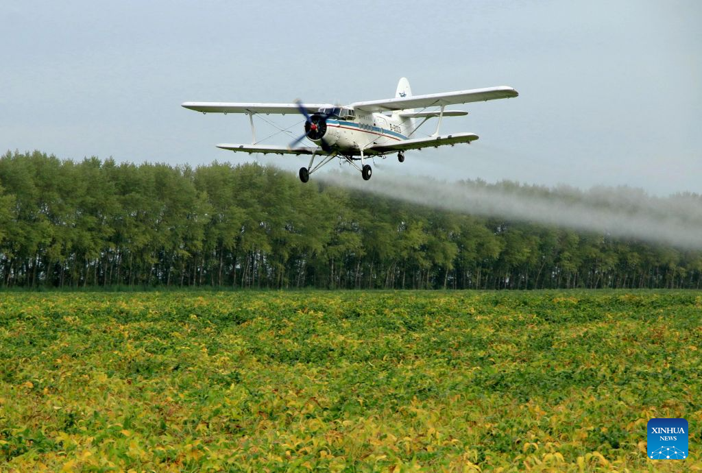Aircraft, drones help ensure autumn grain harvest in China's Heilongjiang