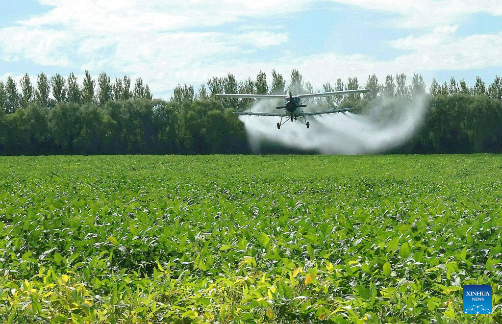 Aircraft, drones help ensure autumn grain harvest in China's Heilongjiang