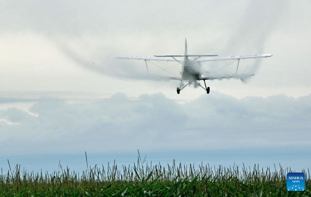 Aircraft, drones help ensure autumn grain harvest in China's Heilongjiang