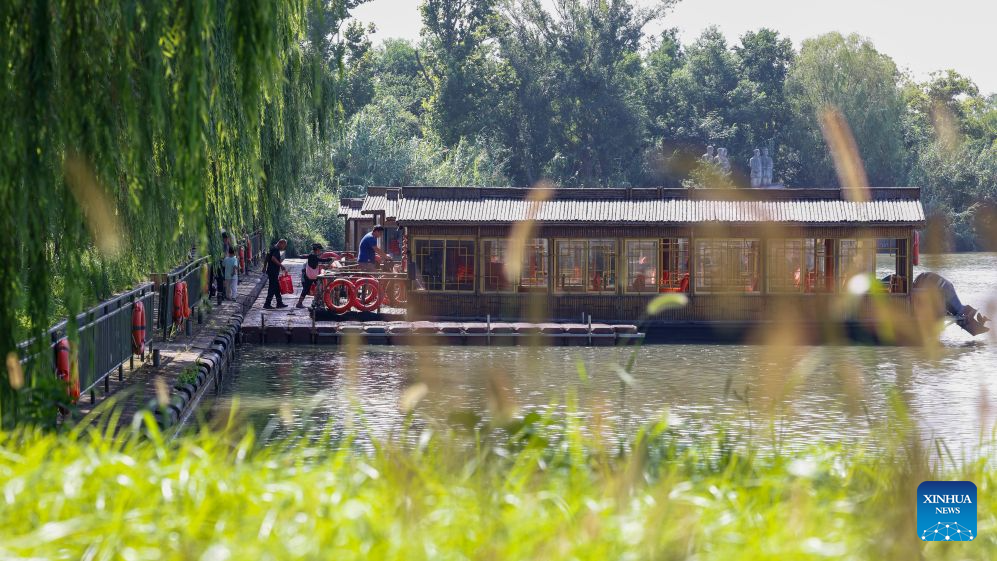 Hongze Lake Wetland in E China's Jiangsu sees surge in bird species thanks to environmental protection