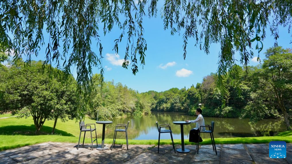 Rural tourism thrives in Wuyuan County, E China