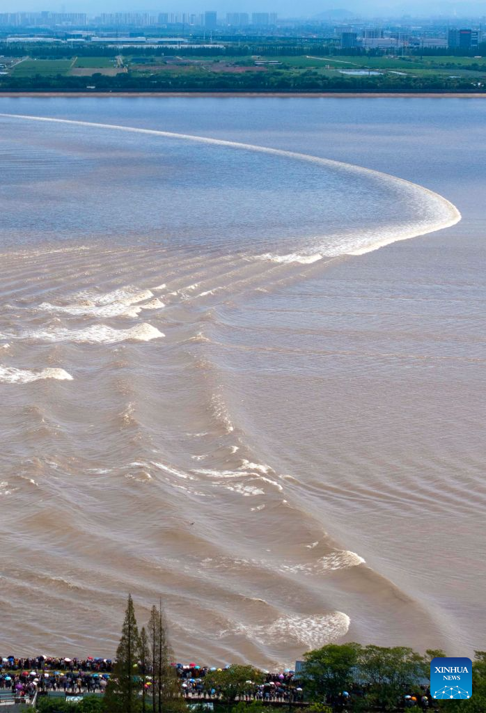 Tidal bore of Qiantang River attracts tourists in E China's Zhejiang