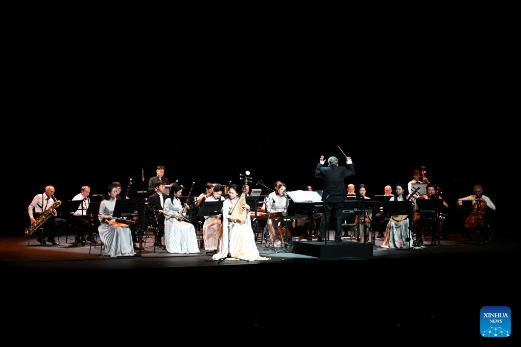 Musicians perform at Chinese folk music concert