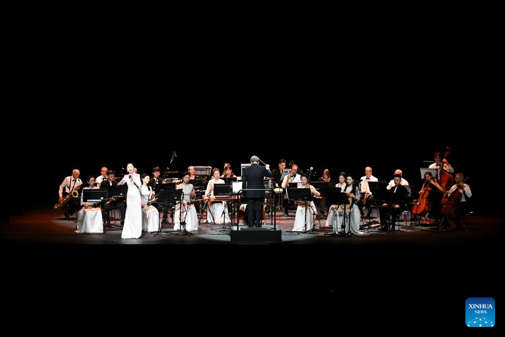 Musicians perform at Chinese folk music concert