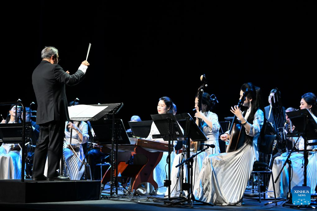 Musicians perform at Chinese folk music concert
