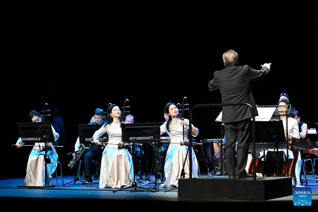 Musicians perform at Chinese folk music concert