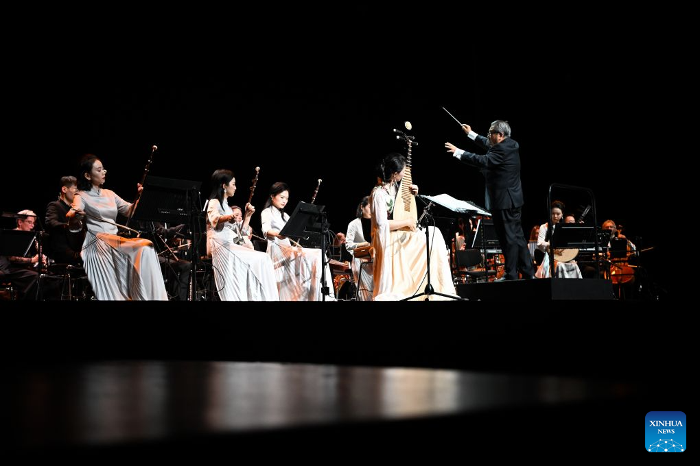Musicians perform at Chinese folk music concert