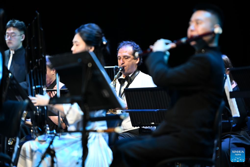 Musicians perform at Chinese folk music concert