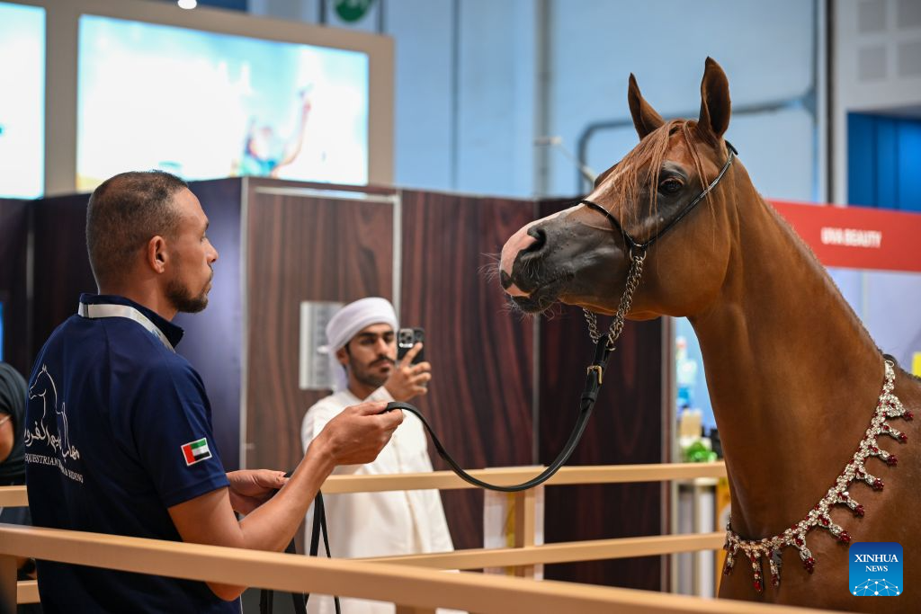 A glimpse of Abu Dhabi Int'l Hunting and Equestrian Exhibition