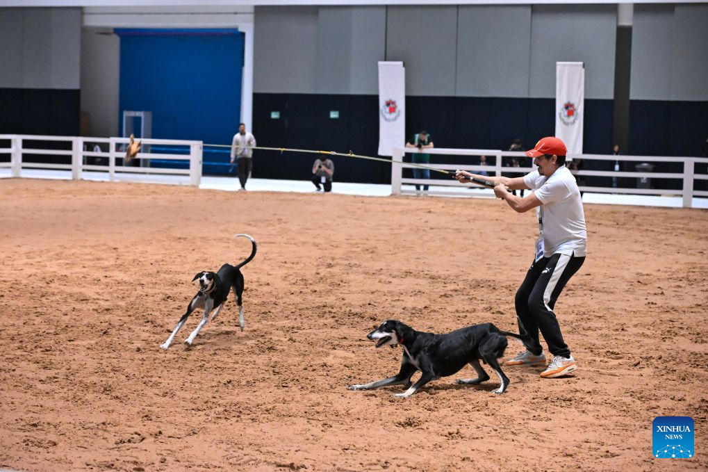 A glimpse of Abu Dhabi Int'l Hunting and Equestrian Exhibition