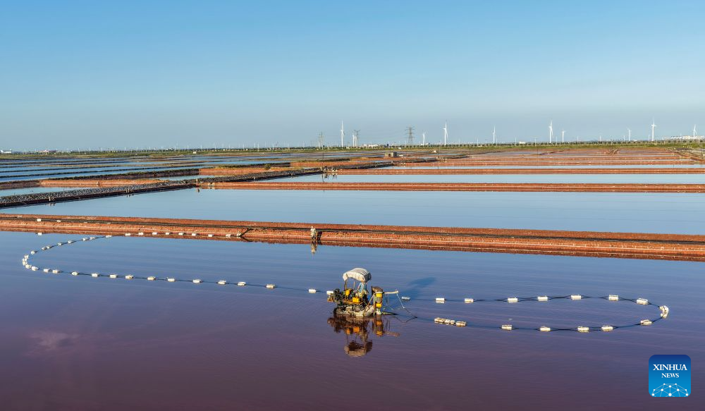 Salt farms enter harvest season in China's Hebei