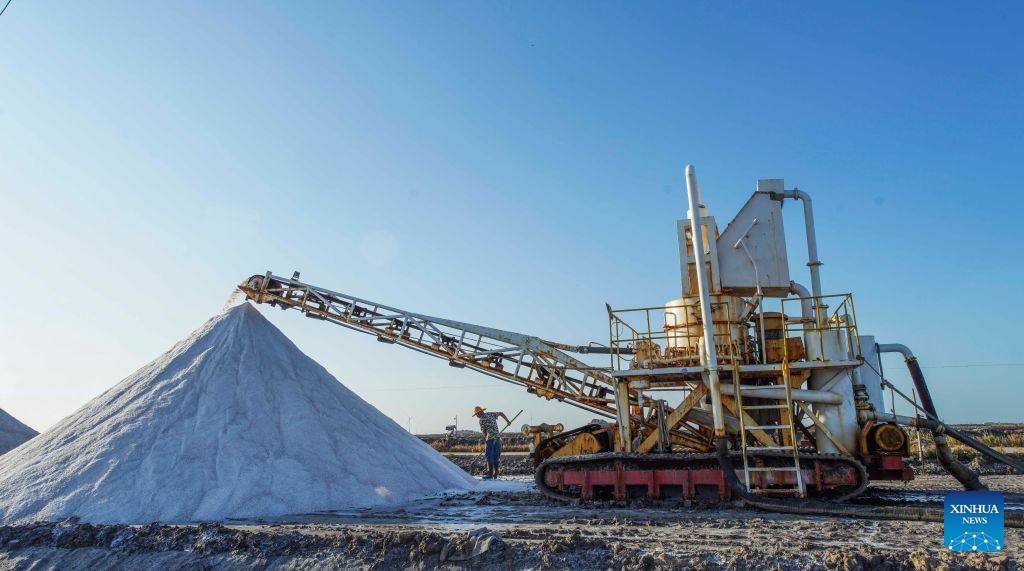 Salt farms enter harvest season in China's Hebei