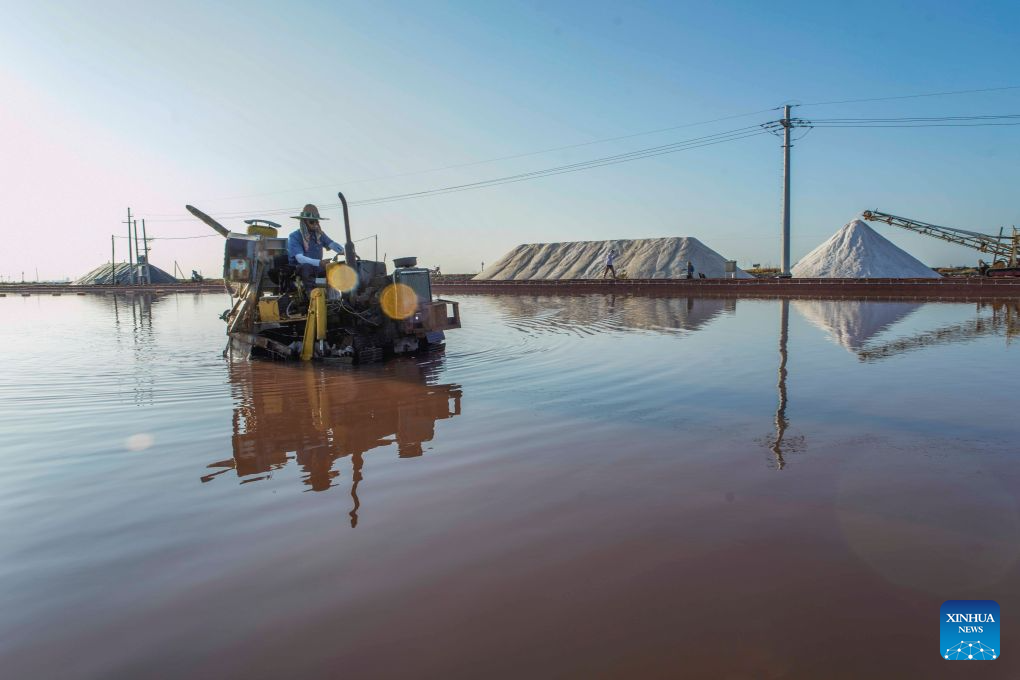 Salt farms enter harvest season in China's Hebei