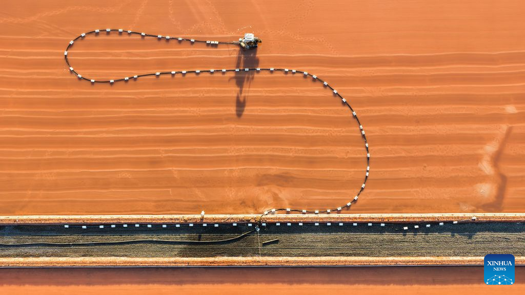 Salt farms enter harvest season in China's Hebei