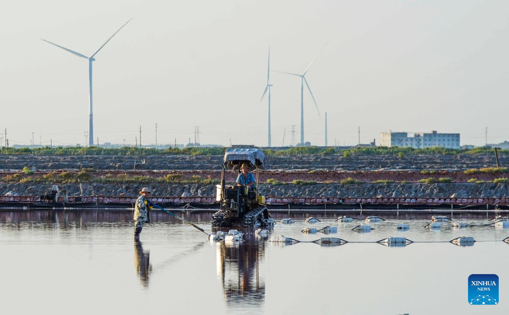 Salt farms enter harvest season in China's Hebei