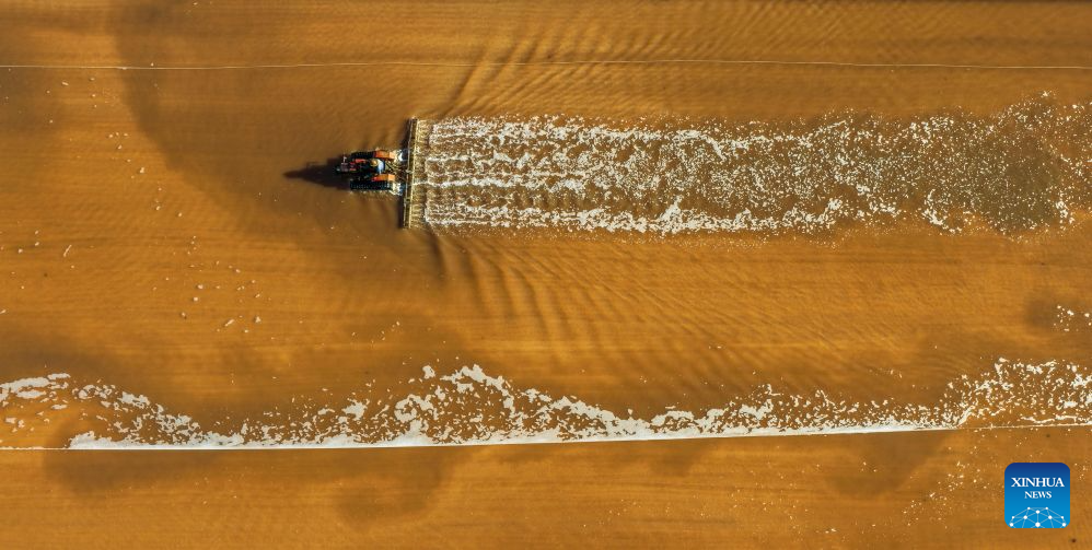 Salt farms enter harvest season in China's Hebei