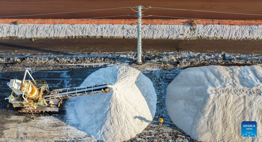 Salt farms enter harvest season in China's Hebei