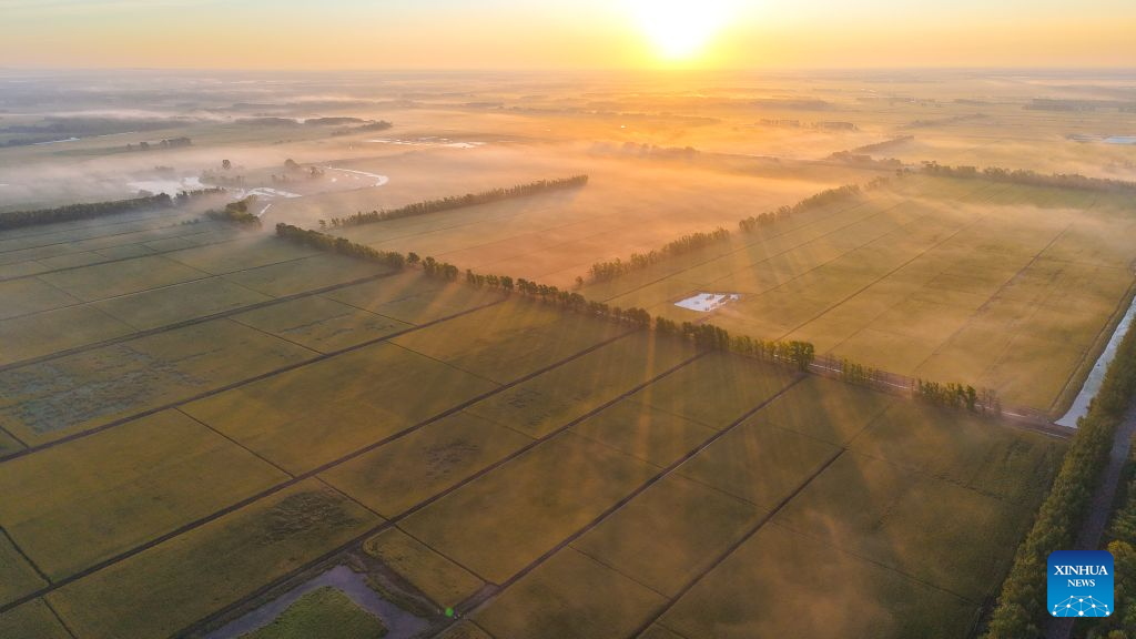 Farmers busy with farm work around White Dew