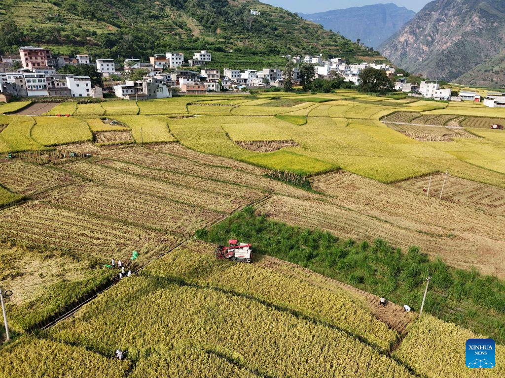 Farmers busy with farm work around White Dew