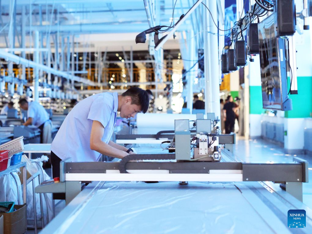 China's Liaoning advances digital and intelligent transformation of manufacturing sector