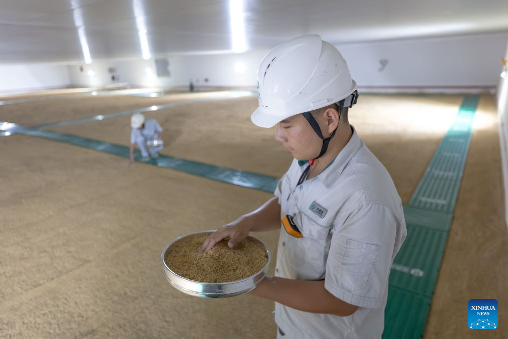 Farmers busy with farm work in C China's Hubei