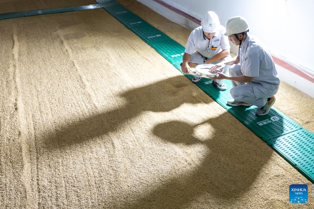 Farmers busy with farm work in C China's Hubei