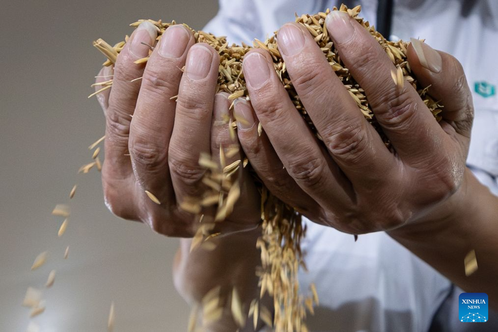 Farmers busy with farm work in C China's Hubei