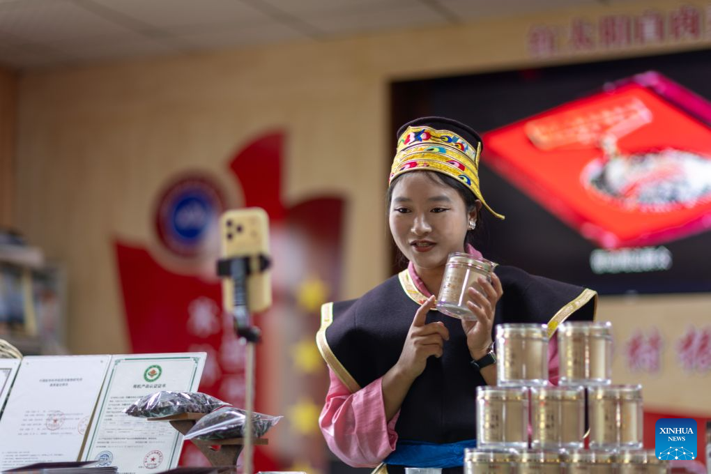 Family farm develops Lingzhi mushroom industry in Milin, China's Xizang