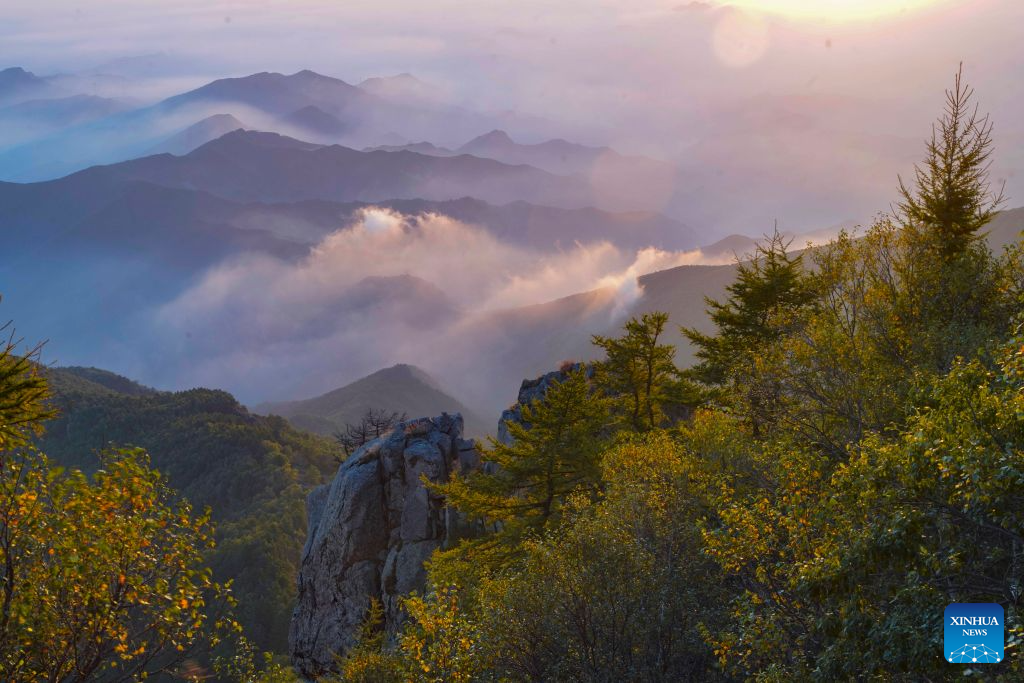 Morning scenery of Wuling Mountain National Nature Reserve in N China's Hebei