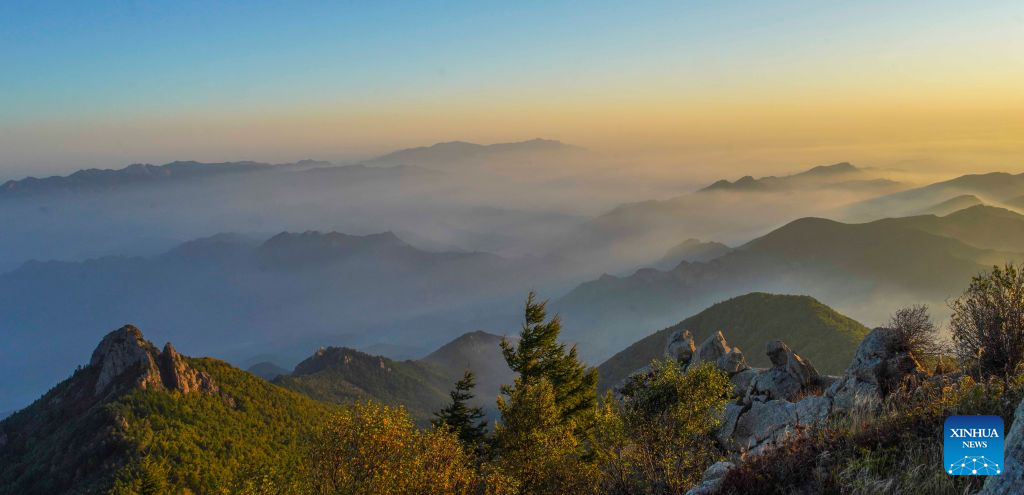 Morning scenery of Wuling Mountain National Nature Reserve in N China's Hebei