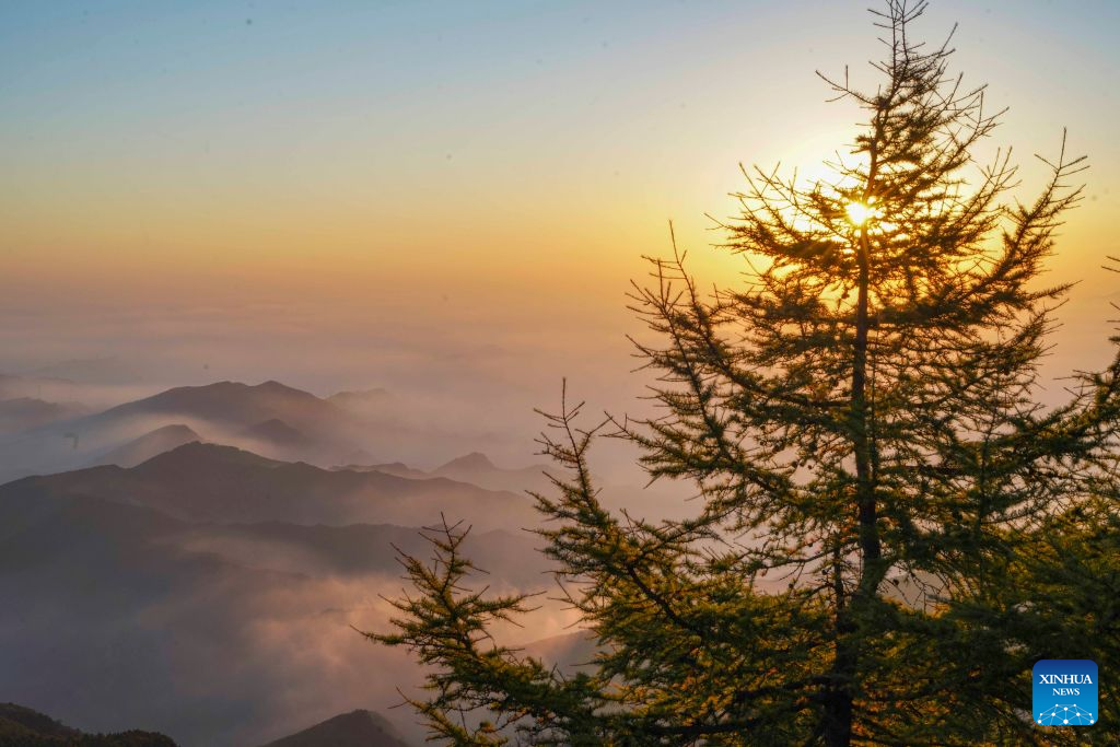 Morning scenery of Wuling Mountain National Nature Reserve in N China's Hebei