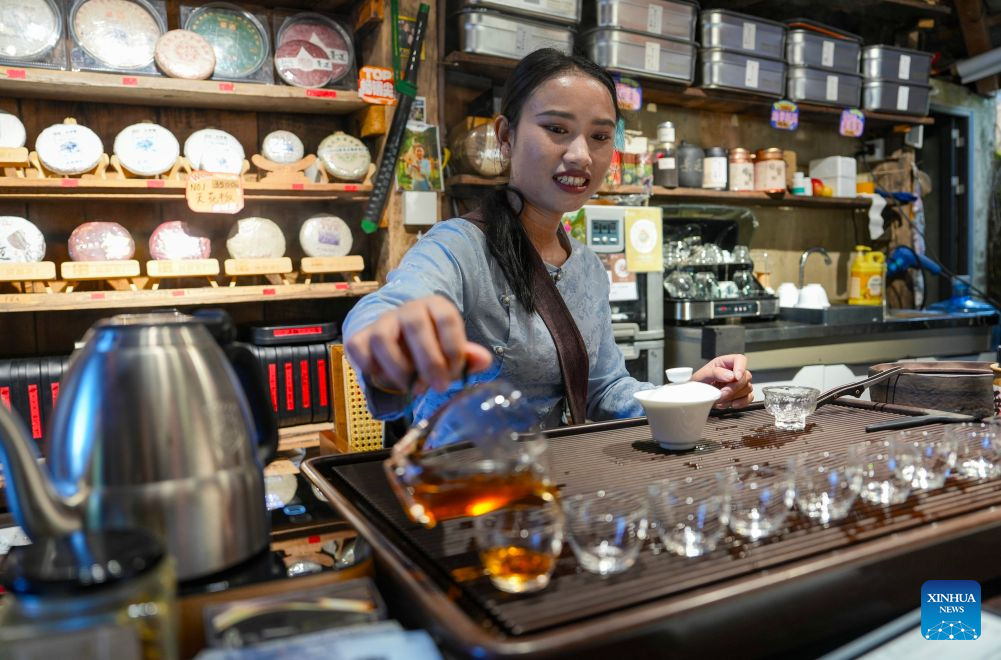 Jingmai Mountain in China's Yunnan draws tourists with tea culture