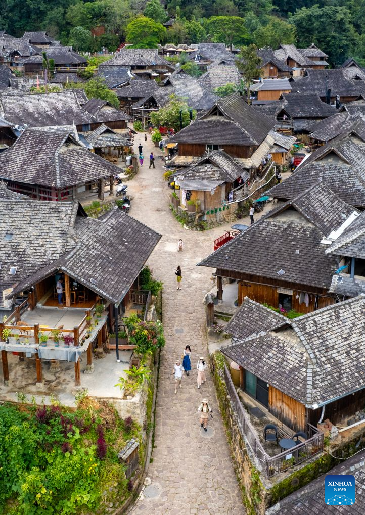 Jingmai Mountain in China's Yunnan draws tourists with tea culture