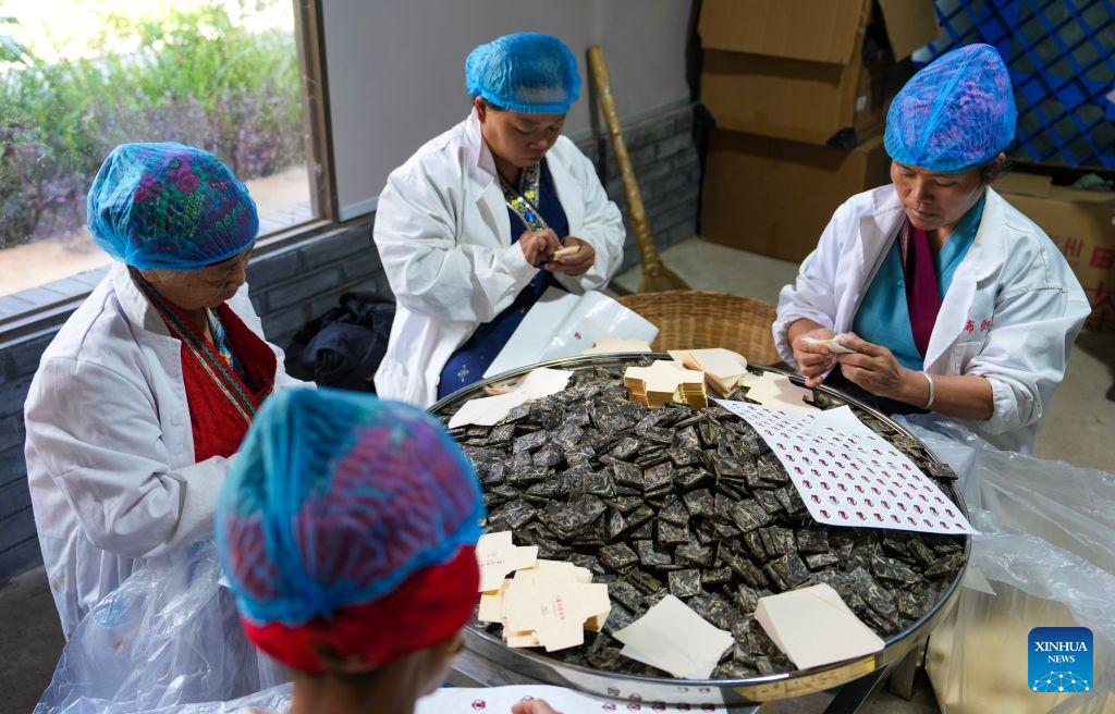 Jingmai Mountain in China's Yunnan draws tourists with tea culture